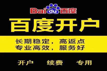 竞价SEM托管案例：精准营销的利器